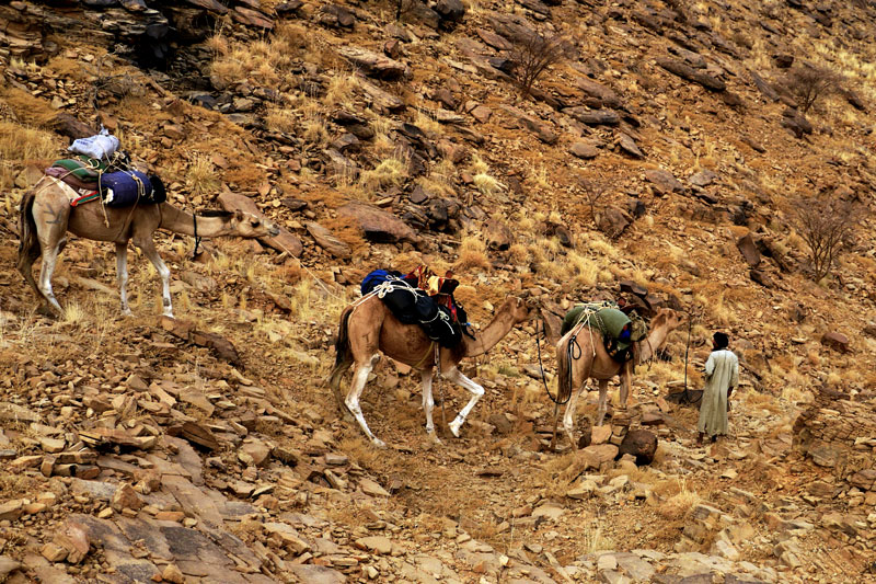 Mauritania
